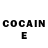 Cocaine Fish Scale Wladimir Room