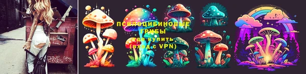соль ск Заводоуковск