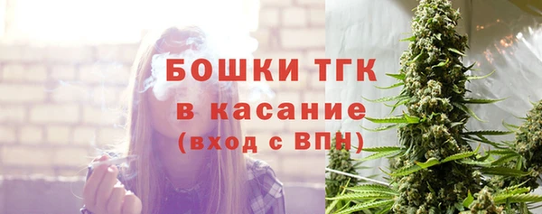 метадон Елизово