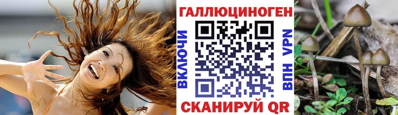 Псилоцибиновые грибы мицелий  Купить где  Минеральные Воды 